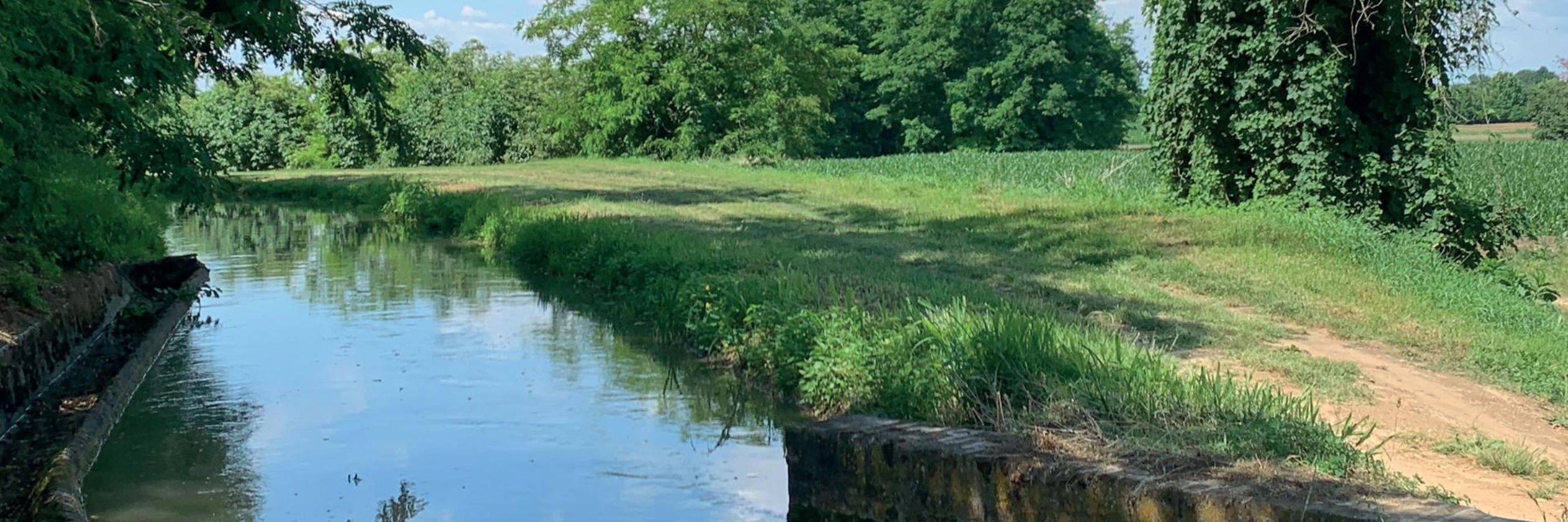 L'acqua, benedizione della terra